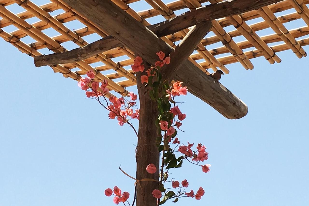 Riad Of The Storks - Exclusive Use For Up To 17 Persons Marrakesh Esterno foto